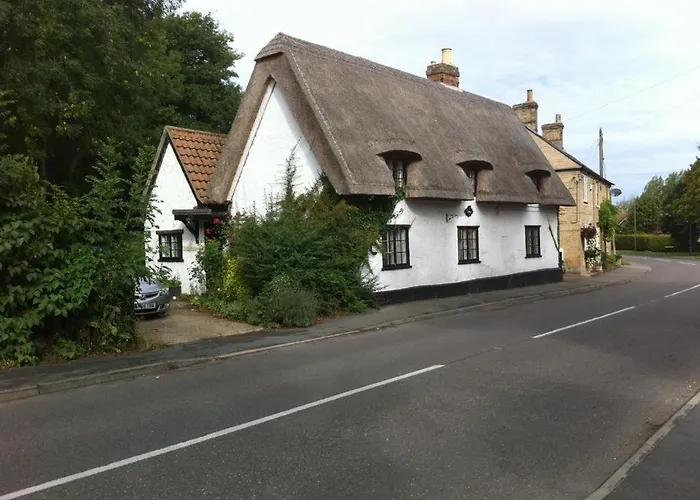 Quirky 18Th Century Thatched Cottage